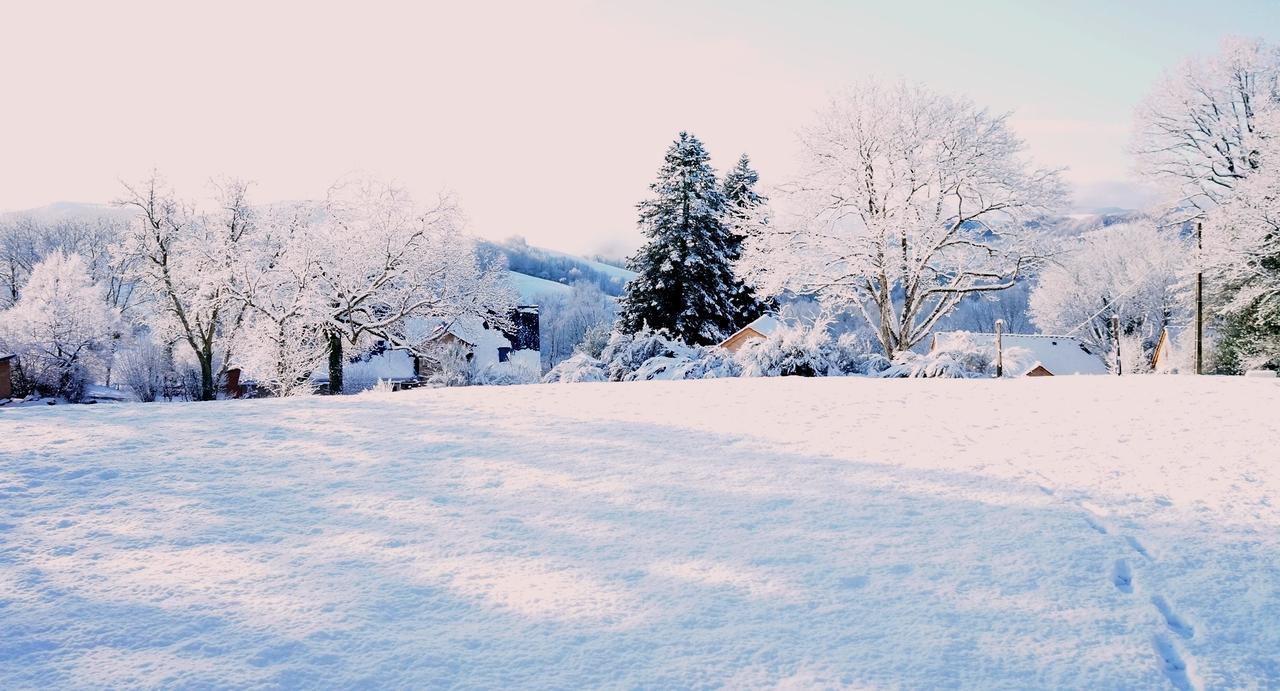 Domaine Des Marequiers Chambre Pimprenelle Saint-Germain-du-Teil Exteriér fotografie