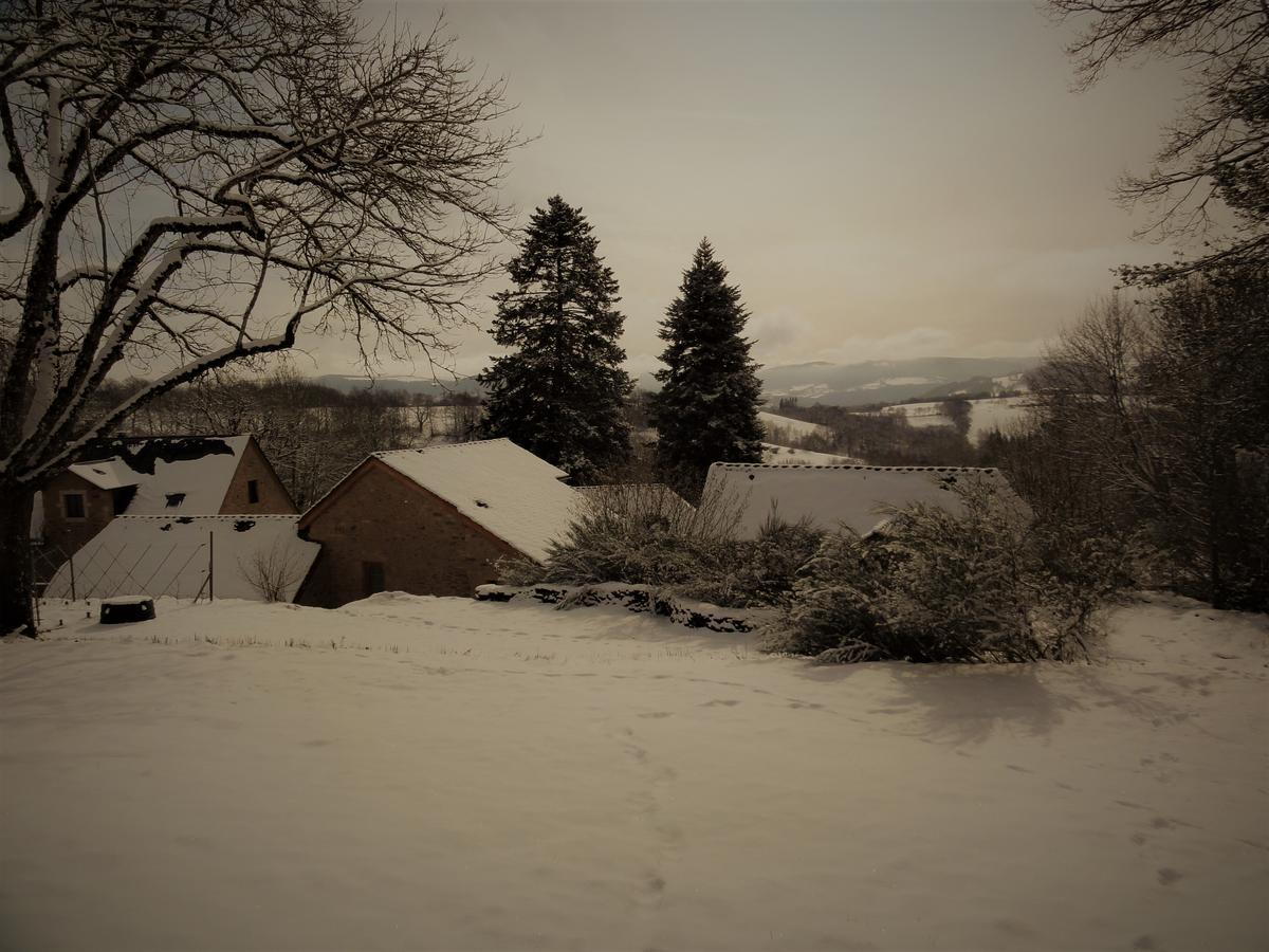 Domaine Des Marequiers Chambre Pimprenelle Saint-Germain-du-Teil Exteriér fotografie
